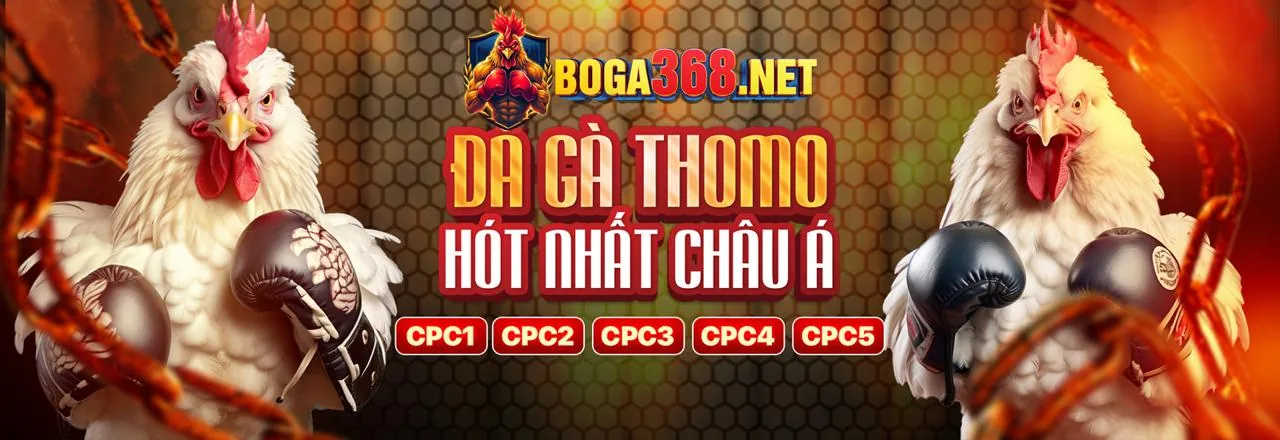 Chơi có trách nhiệm tại trường gà thommo.net