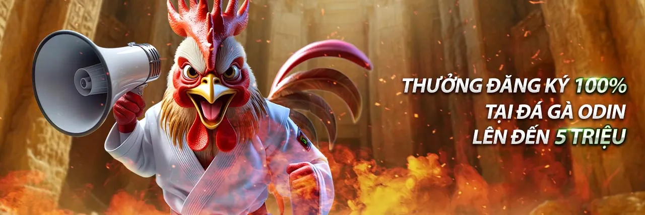 Hệ thống bảo mật và hỗ trợ khách hàng 24/7 của trường gà thommo.net